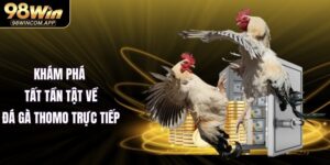 Đá Gà Thomo Trực Tiếp 98WIN